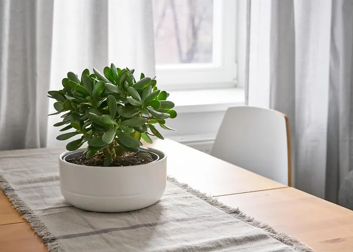 Lejlighed Cute&light Apartment, Centre