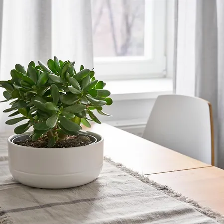Apartament Cute&light Apartment, Centre